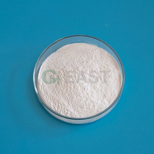 Calcium Phosphate Dibasic