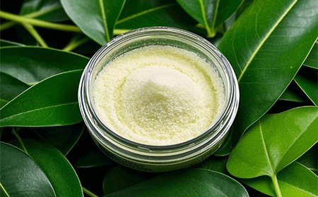 Xanthan Gum: A Versatile and Valuable Additive
